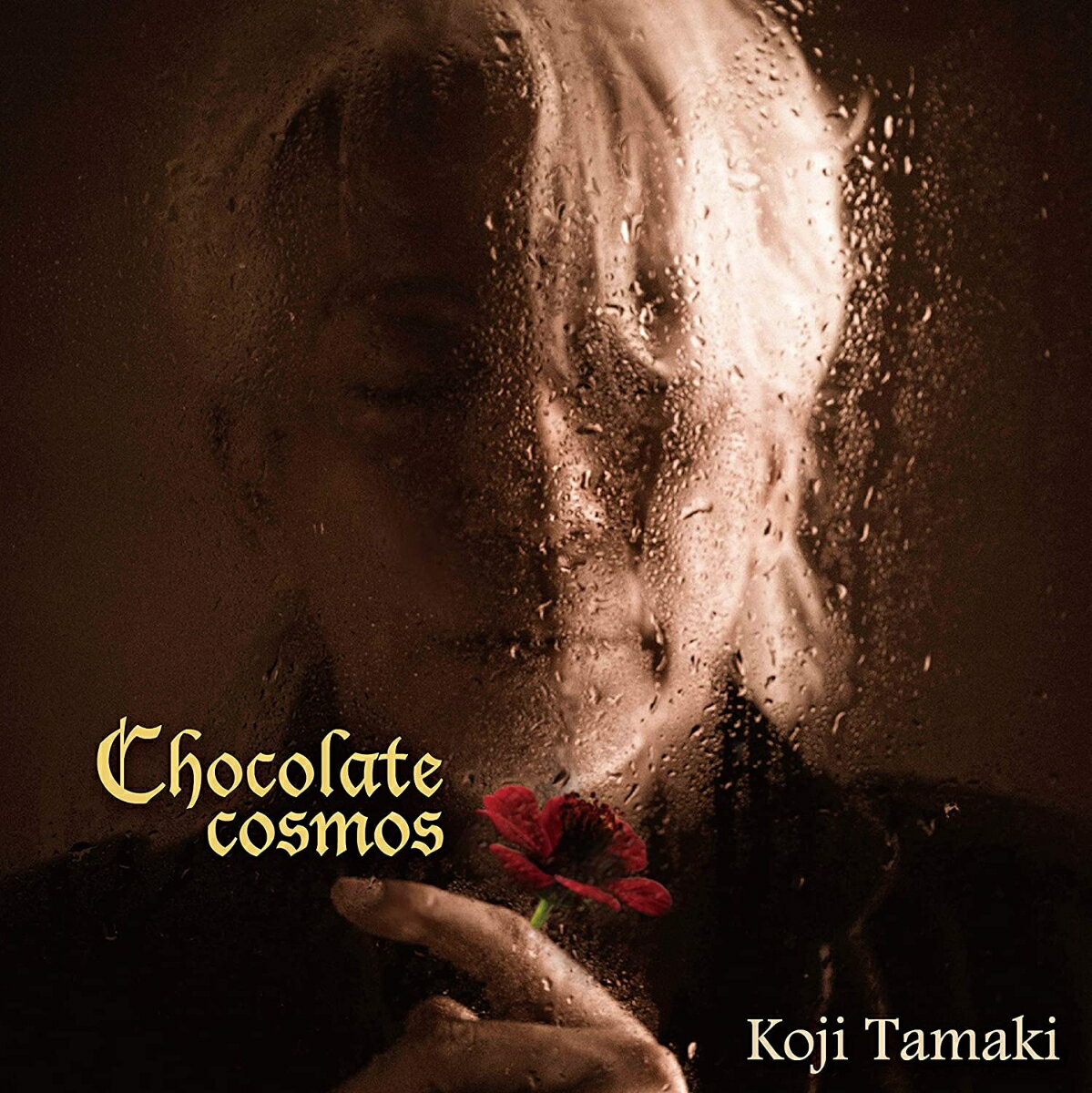 Chocolate cosmos【アナログ盤】