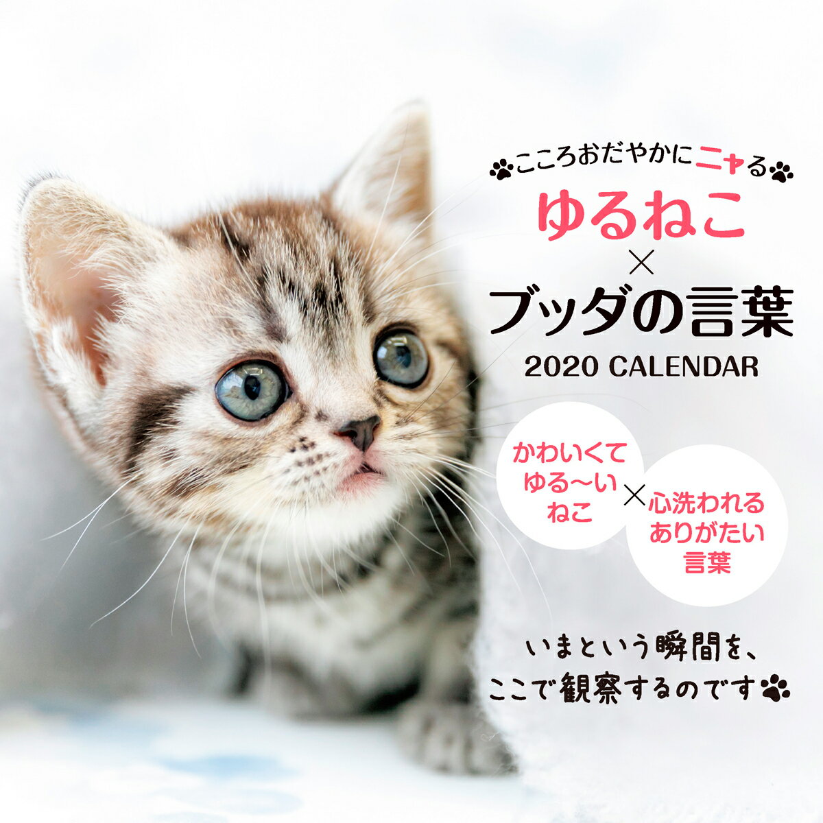 こころおだやかにニャるゆるねこ×ブッダの言葉カレンダー（2020）