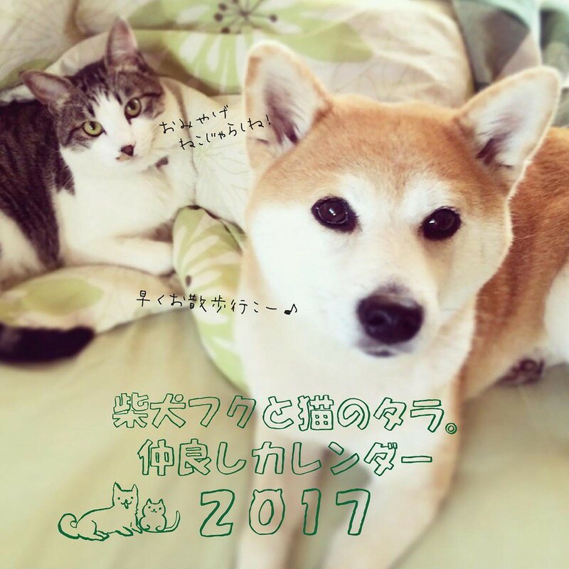 2017ǯ����դ��������� �Ƹ��ե���ǭ�Υ��顣���ɤ���������