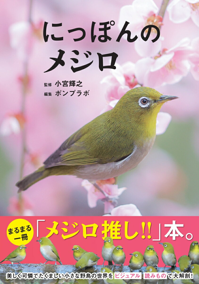 小宮輝之 カンゼンニッポンノメジロ コミヤテルユキ 発行年月：2023年07月18日 予約締切日：2023年05月25日 ページ数：112p サイズ：単行本 ISBN：9784862556899 小宮輝之（コミヤテルユキ） 1947年東京都生まれ。1972年に多摩動物公園に就職。以降、40年間にわたりさまざまな動物の飼育に関わる。2004年から2011年まで上野動物園園長。日本動物園水族館協会会長、日本博物館協会副会長を歴任する。2022年から日本鳥類保護廉盟会長。現在は執筆・撮影、図鑑や動物番組の監修、大学、専門学校の講師などを務める。動物足拓コレクター、動物糞写真家でもある（本データはこの書籍が刊行された当時に掲載されていたものです） 基礎知識編ーメジロのきほん（メジロってこんな鳥／メジロのからだ　ほか）／VISUAL　CALENDAR（メジロごよみ「暦」）／雑学情報編ーメジロのなるほど（この鳥たちとの関係／メジロの目ヂカラ考察　ほか）／SPECIAL　FEATURE　にっぽんのメジロの仲間たち／SPECIAL　FEATURE　日本で見られるメジロ科の2種／GOURMET　DIARY　メジロたちの絵になる食卓（モモ／ウメ　ほか） まるまる一冊「メジロ推し！！」本。美しく可憐でたくましい小さな野鳥の世界をビジュアル読みもので大解剖！ 本 科学・技術 動物学