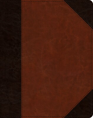 ESV Single Column Journaling Bible (Trutone, Brown/Cordovan, Portfolio Design) ESV SINGLE COLUMN JOURNALING B ー