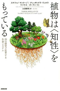 植物は〈知性〉をもっている