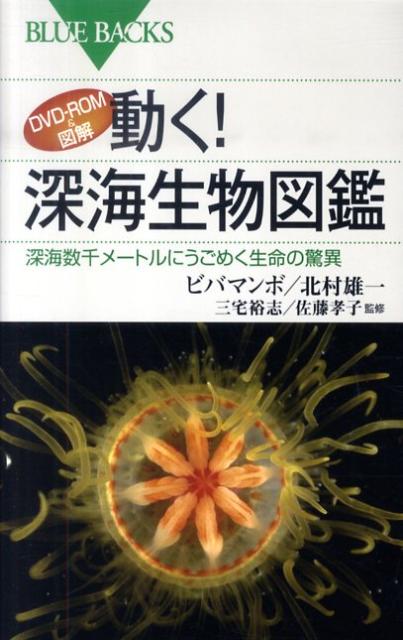 DVD-ROM＆図解　動く！　深海生物図鑑