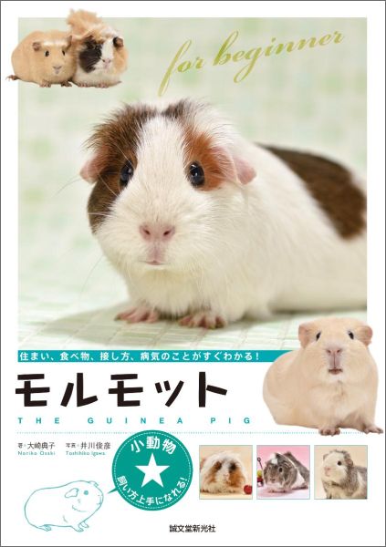 モルモット 住まい、食べ物、接し方、病気のことがすぐわかる！ （小動物☆飼い方上手になれる！） [  ...