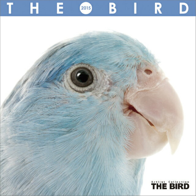 （ミニ・魚眼）THE BIRD　2015年 カレンダー