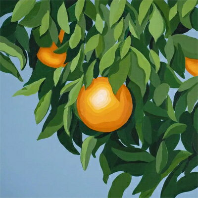 【輸入盤】For The First Time, Again