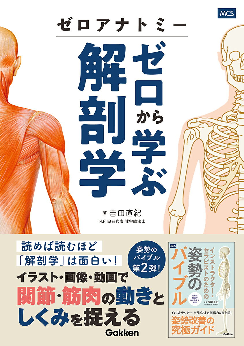 ゼロアナトミー　ゼロから学ぶ解剖学