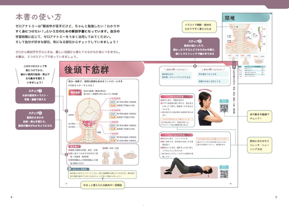 ゼロアナトミー　ゼロから学ぶ解剖学 [ 吉田直紀 ] 3