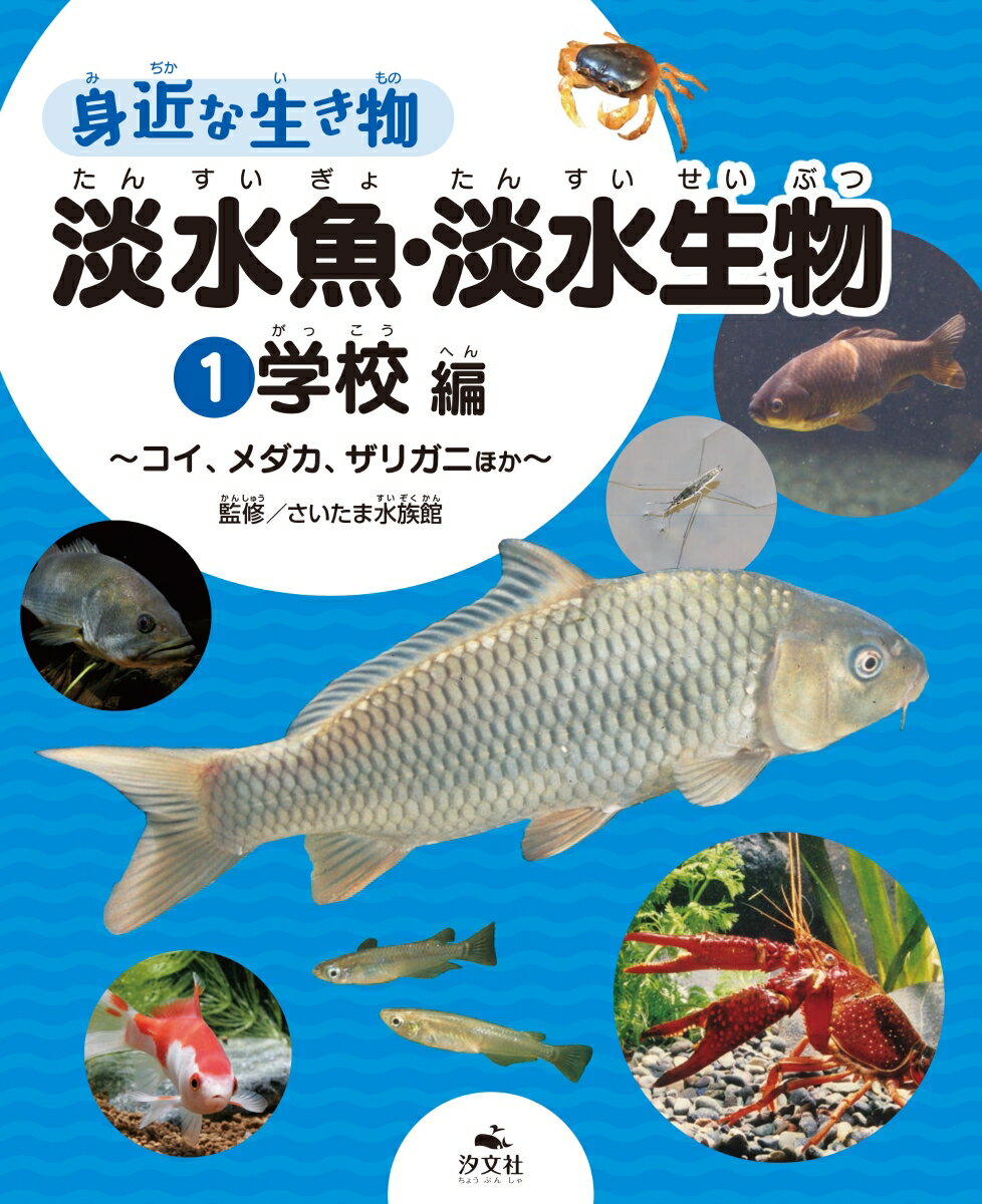 1学校編～コイ、メダカ、ザリガニほか～ （身近な生き物　淡水魚・淡水生物） [ さいたま水族館 ]