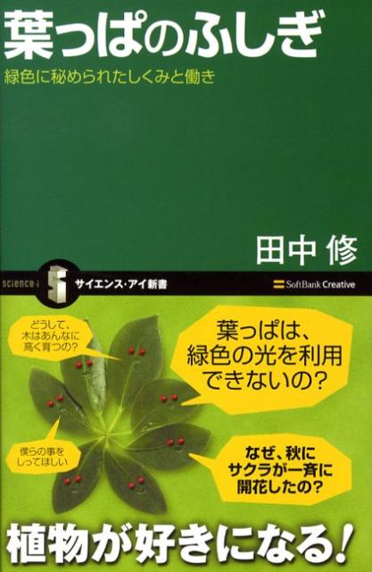 葉っぱのふしぎ