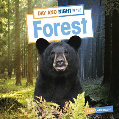 Day and Night in the Forest DAY & NIGHT IN THE FOREST （Habitat Days and Nights） 