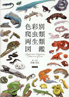 色彩別 爬虫類・両生類図鑑の表紙