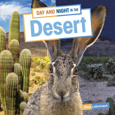 Day and Night in the Desert DAY & NIGHT IN THE DESERT （Habitat Days and Nights） 