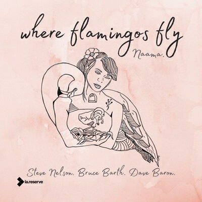 【輸入盤】Where Flamingos Fly