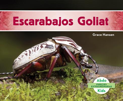 Escarabajos Goliat (Goliath Beetles) SPA-ESCARABAJOS GOLIAT (GOLIAT （Especies Extraordinarias Set 1 (Super Species)） 