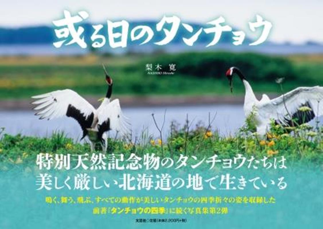 或る日のタンチョウ