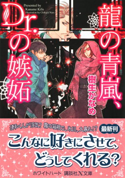 龍の青嵐、Dr．の嫉妬 （講談社X文庫） [ 樹生 かなめ ]