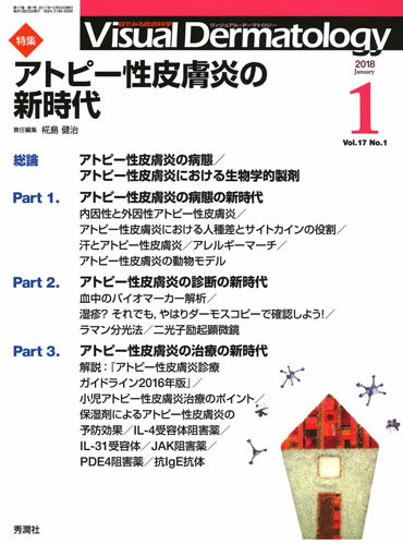 Visual　D．　2018年1月号　Vol．17　No．1