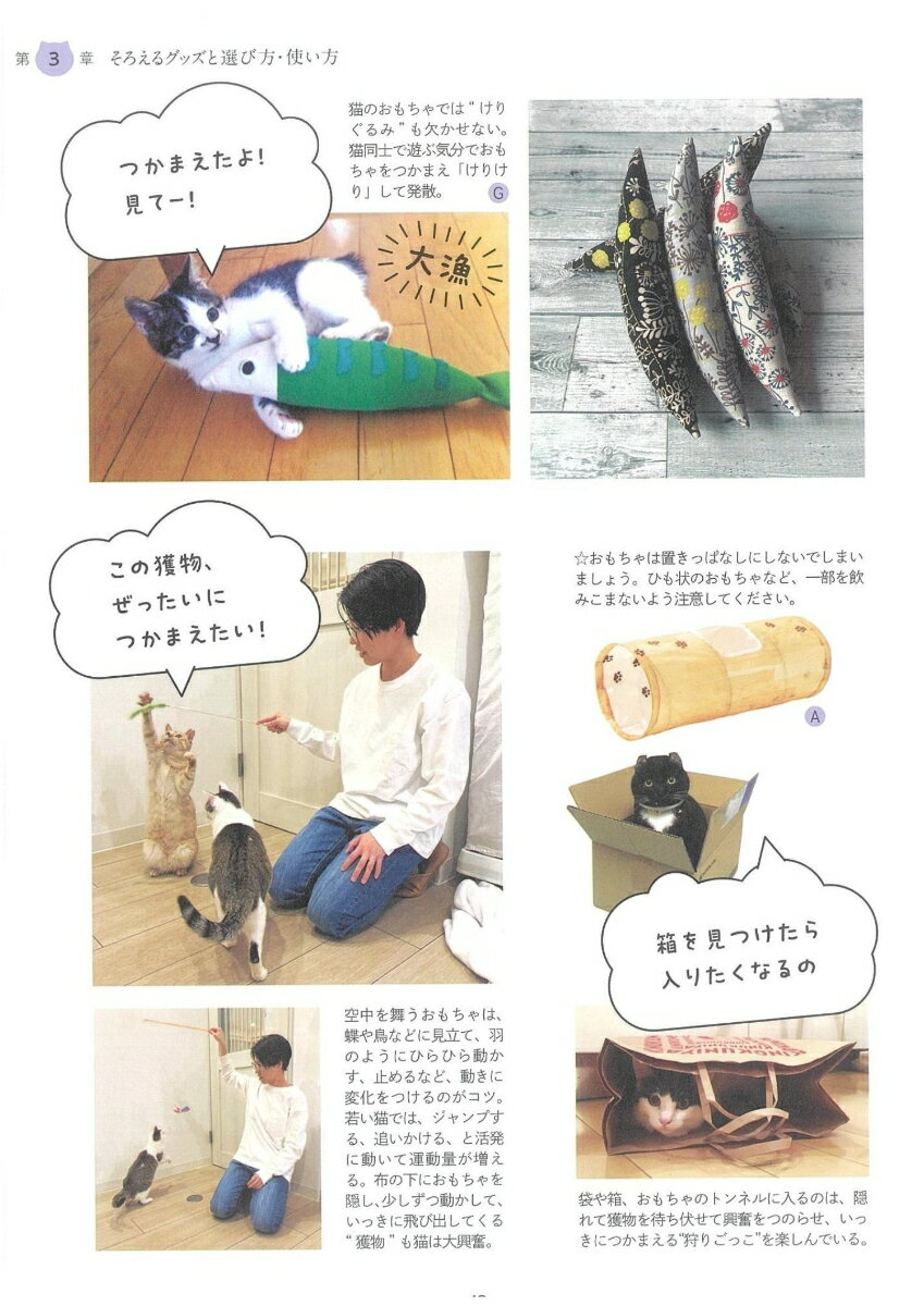 猫と幸せに暮らす 今いちばん新しい猫の健康管理とケアの本 [ 柴内 晶子 ] 3