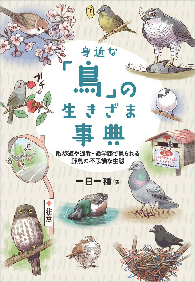 身近な 鳥 の生きざま事典 散歩道や通勤・通学路で見られる野鳥の不思議な生態 [ 一日一種 ]