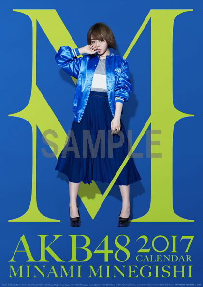 （壁掛）AKB48 峯岸みなみ B2カレンダー 2017【楽天ブックス限定特典付】