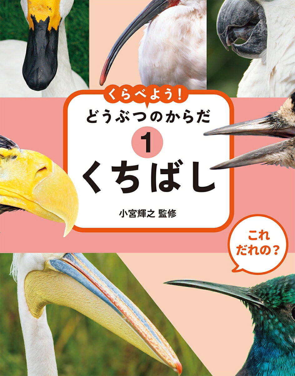 これ だれの？ くらべよう！ どうぶつのからだ　1くちばし