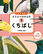 これ だれの？ くらべよう！ どうぶつのからだ　1くちばし