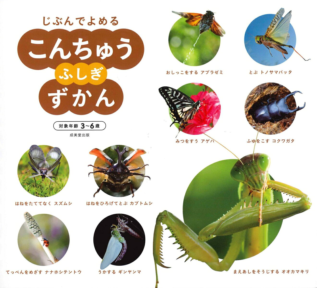 『じぶんでよめる　こんちゅうふしぎずかん』は、文字に興味を持ちはじめた子どもに、「こんちゅう」をとおして、自分で本を読む楽しさを伝え、知的好奇心を引きだす図鑑です。
シリーズの『じぶんでよめる　こんちゅうずかん』より掘り下げた内容になっており、お子さまの「知りたい気持ち」に応えます。
3〜6歳向け。
■　こんちゅうのくらし

＜　は　る　＞

　　　●　はるのくさむら　【ひる】
　　　　　　　o　アゲハ
　　　　　　　o　セイヨウミツバチ
　　　　　　　o　ナナホシテントウ
　　　　　　　o　クロオオアリ
　　　●　はるのはやし　【ひる】
　　　　　　　o　コクワガタ
　　　　　　　o　カブトムシ
　　　　　　　o　エゴツルクビオトシブミ
　　　　　　　o　ウスバカゲロウ
　　　●　はるのみずべ　【ひる】
　　　　　　　o　ギンヤンマ
　　　　　　　o　タガメ
　　　くらべてはっけん！　はるにみられる　たまごとようちゅう

＜　な　つ　＞

　　　●　なつのくさむら　【ひる】
　　　　　　　o　トノサマバッタ
　　　　　　　o　ショウリョウバッタ
　　　くらべてはっけん！　チョウの「はるがた」と「なつがた」
　　　●　なつのくさむら　【よる】
　　　　　　　o　エビガラスズメ
　　　　　　　o　オオカマキリ
　　　　　　　o　ショウリョウバッタ
　　　くらべてはっけん！　チョウとガのちがい
　　　●　なつのはやし　【ひる】
　　　　　　　o　アブラゼミ
　　　くらべてはっけん！　せみのなきごえをくらべてみよう！
　　　●　なつのはやし　【よる】
　　　　　　　o　カブトムシ
　　　　　　　o　ノコギリクワガタ
　　　　　　　o　コクワガタ
　　　●　なつのみずべ　【ひる】
　　　　　　　o　タガメ
　　　　　　　o　ゲンゴロウ
　　　　　　　o　アメンボ
　　　●　なつのみずべ　【よる】
　　　　　　　o　ヘイケボタル
　　　　　　　o　ギンヤンマ

＜　あ　き　＞

　　　●　あきのくさむら　【ひる】
　　　　　　　o　オオカマキリ
　　　●　あきのくさむら　【よる】
　　　　　　　o　エンマコオロギ
　　　　　　　o　スズムシ
　　　●　あきのはやし　【ひる】
　　　　　　　o　コナラシギゾウムシ
　　　　　　　o　ハイイロチョッキリ
　　　　　　　o　アブラゼミ
　　　　　　　o　カブトムシ
　　　●　あきのみずべ　【ひる】
　　　　　　　o　ギンヤンマ
　　　　　　　o　アキアカネ

＜　ふ　ゆ　＞

　　　●　ふゆのくさむら　【ひる】
　　　　　　　o　オオカマキリ
　　　　　　　o　アゲハ
　　　　　　　o　ベニシジミ
　　　●　ふゆのはやし　【ひる】
　　　　　　　o　カブトムシ
　　　　　　　o　コクワガタ
　　　　　　　o　ノコギリクワガタ
　　　●　ふゆのみずべ　【ひる】
　　　　　　　o　タガメ
　　　　　　　o　ゲンゴロウ

　◇　はるにみられる　たまごとようちゅう
　◇　「ぎたい」ってなに？
　◇　まちのなかでも、こんちゅうたちに、あいたい！
　◇　こんちゅうたちの　いっしょう