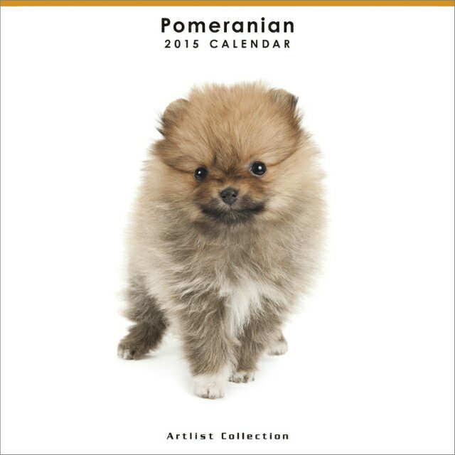 （ミニ・ノーマル）ポメラニアン　2015年 カレンダー
