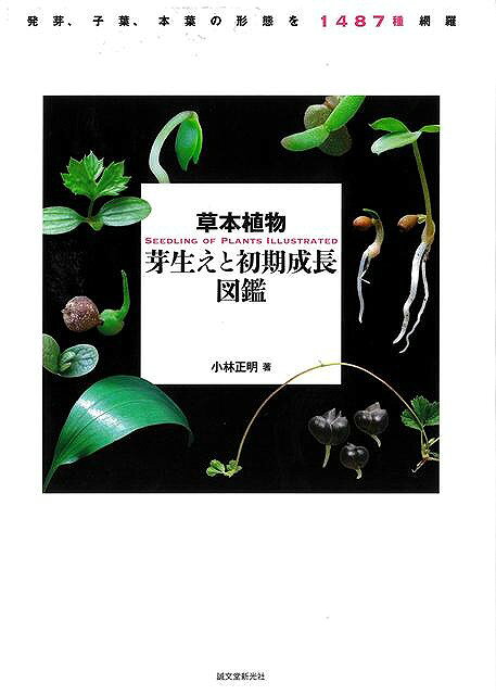 「たね」が芽生える様子を調査。どんな子葉をつけるのか、最初の本葉はどんな形をしていて、どのように初期成長するかを追いました。日本で見られる草本（園芸植物を含む）を1487収録（一部亜種・変種も含む）した芽生えと初期成長の図鑑です。日本の野生植物を中心に、種子を蒔き、発芽、子葉の形態、本葉が出るまで、一部はさらに初期成長の姿を写真撮影し、観察を記載、またその種の開花時の姿、一部は種子写真も付けた「草」の芽生え図鑑。