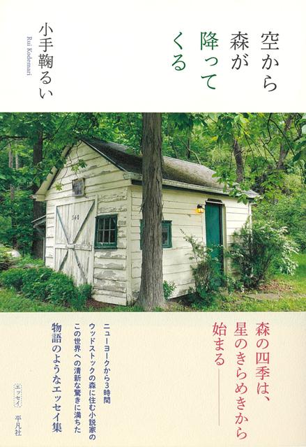 【バーゲン本】空から森が降ってくる