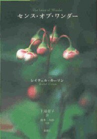 【3980円以上送料無料】日本語学を学ぶ人のために／玉村文郎／編