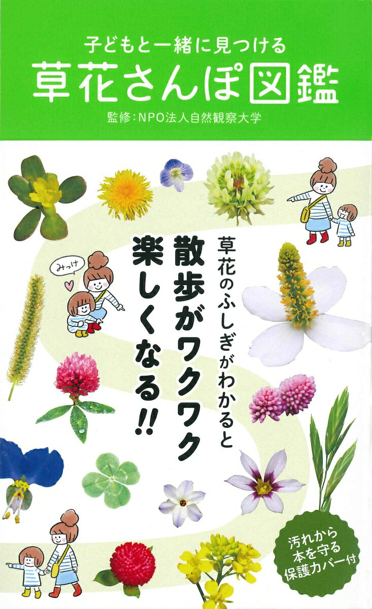 子どもと一緒に見つける草花さんぽ図鑑 [ 自然観察大学 ]