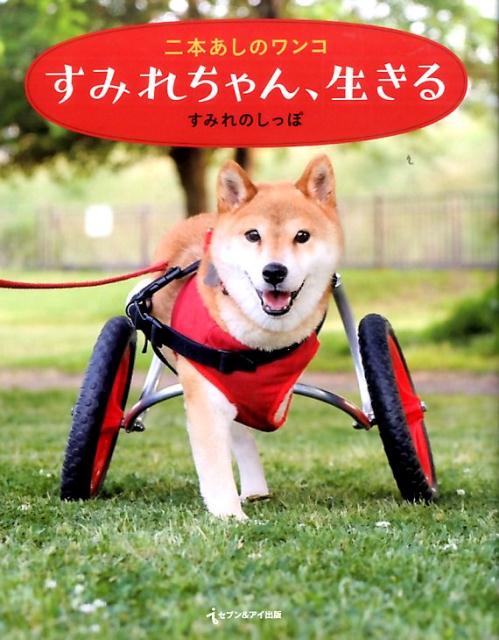 二本あしのワンコすみれちゃん、生きる