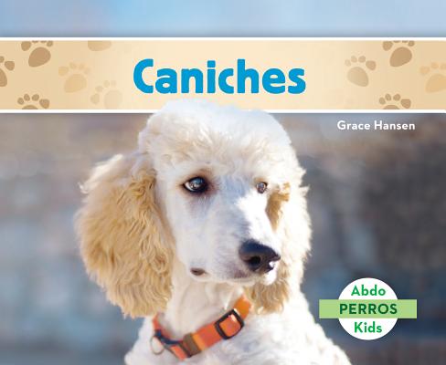 Caniches (Poodles ) SPA-CANICHES (POODLES ) （Perros Set 2 (Dogs)） 