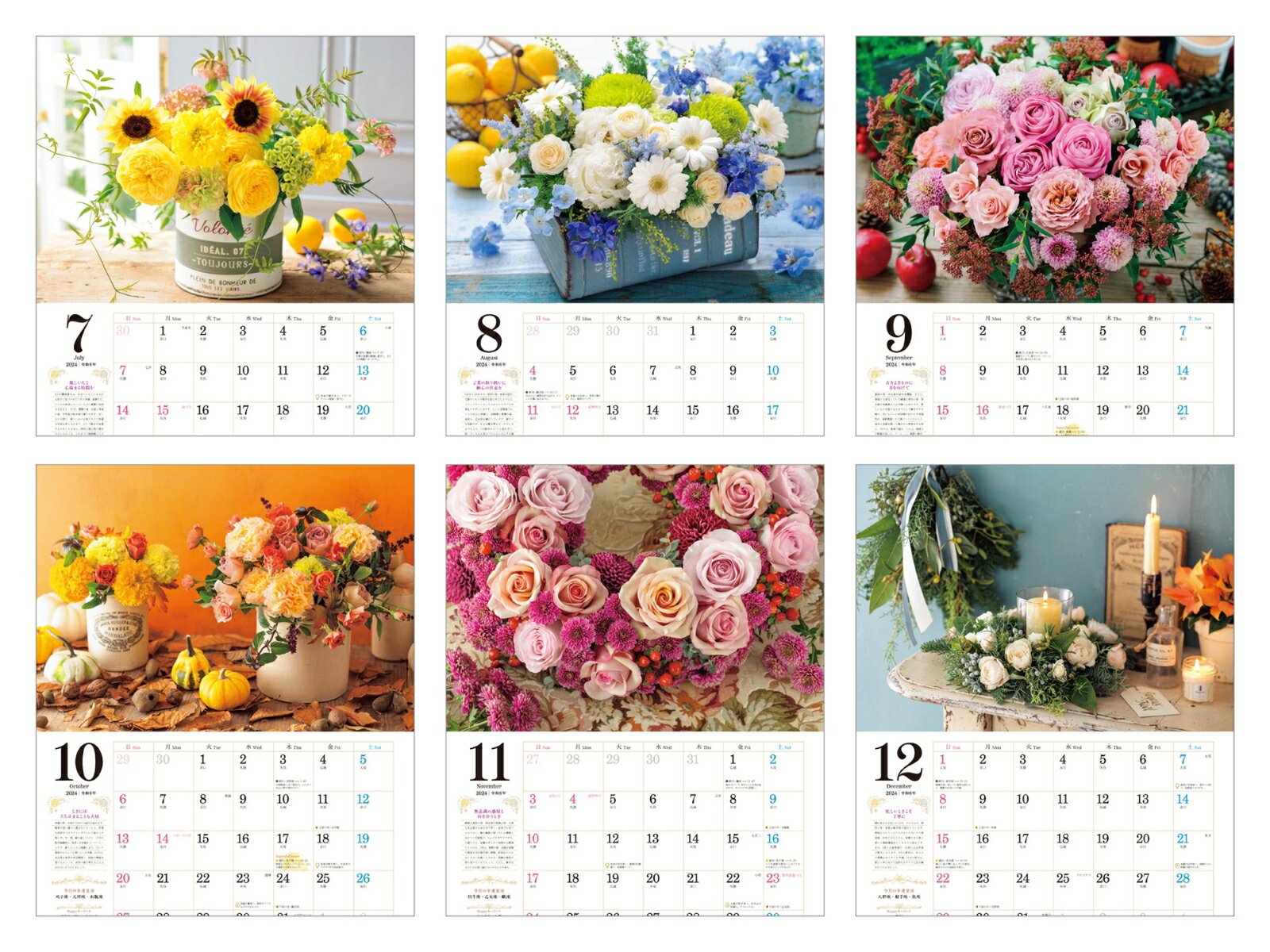 ����奦�� ���ʤ���£�빬����ROSE 2024 �ʥ���ץ쥹��������2024�� [ �� ��奦�� ]