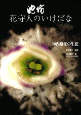 神内曙光の生花 （池坊花守人いけばな） [ 神内曙光 ]