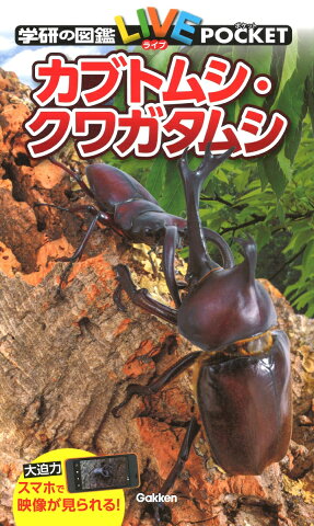 カブトムシ・クワガタムシ （学研の図鑑LIVE（ライブ）ポケット　10） [ 岡島秀治 ]