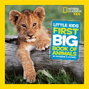 Little Kids First Big Book of Animals LITTLE KIDS 1ST BBO ANIMALS （National Geographic Little Kids First Big Books） Catherine D. Hughes
