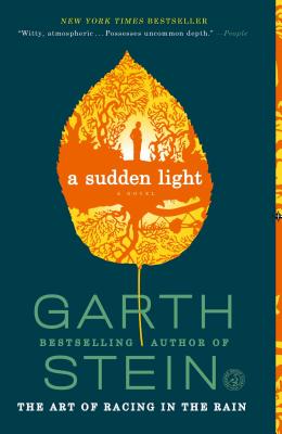 SUDDEN LIGHT,A(B) [ GARTH STEIN ]