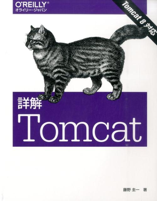 詳解Tomcat 藤野 圭一