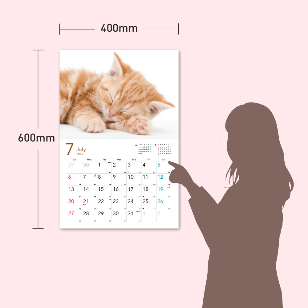2025 すやすやこねこカレンダー [ MdN...の紹介画像2