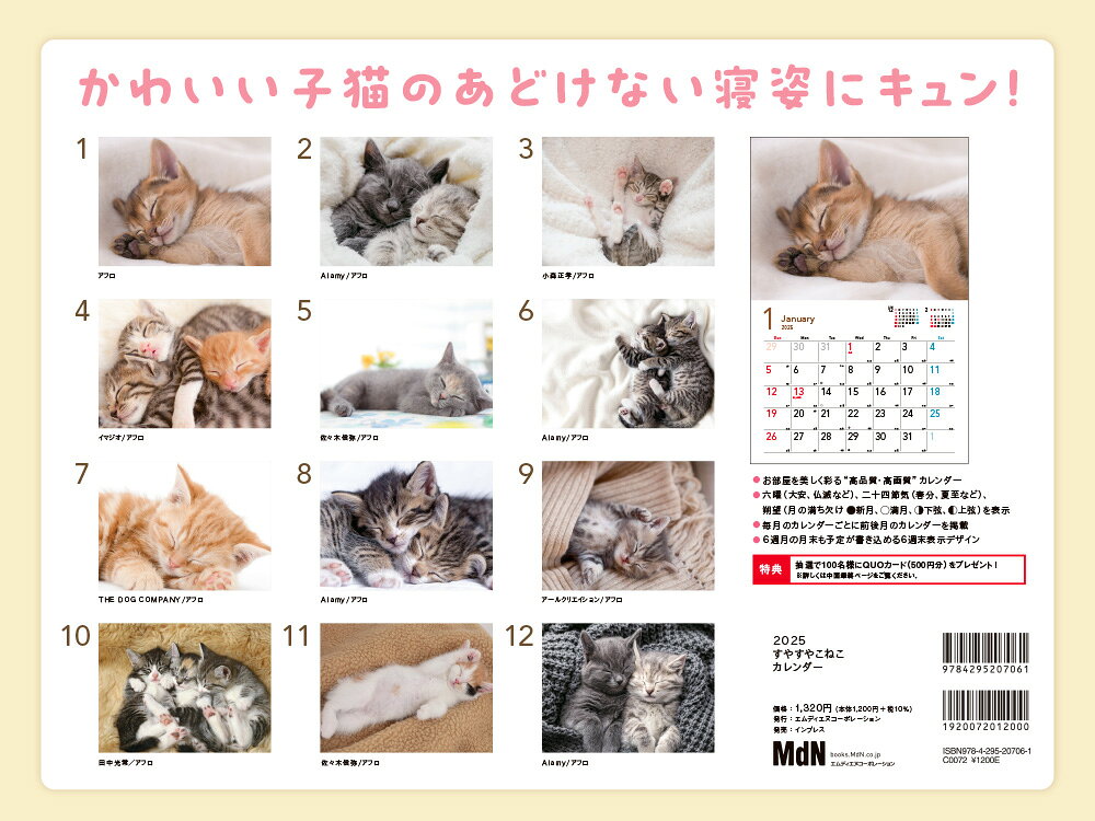 2025 ���䤹�䤳�ͤ��������� [ MdN�Խ��� ]