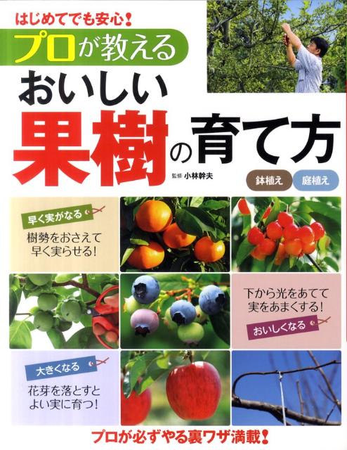 プロが教えるおいしい果樹の育て方 はじめてでも安心！ [ 小林幹夫 ]