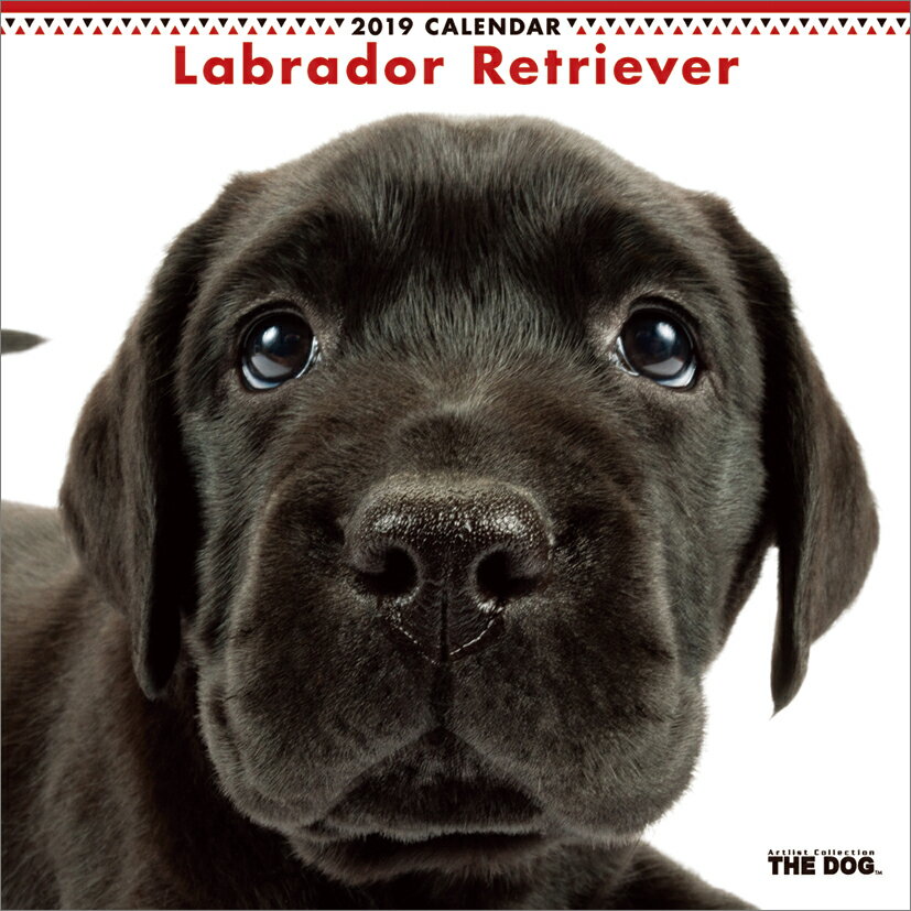 ラブラドール・レトリーバー（2019年1月始まりカレンダー）