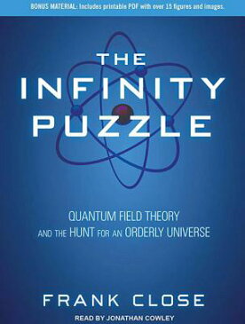 The Infinity Puzzle: Quantum Field Theory and the Hunt for an Orderly Universe INFINITY PUZZLE 10D [ Frank Close ]