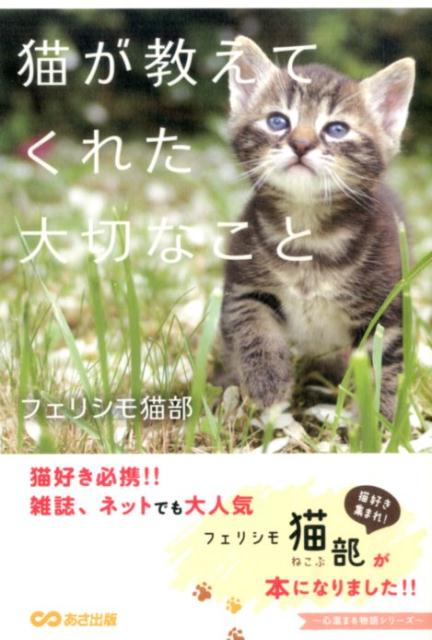 猫が教えてくれた大切なこと （心