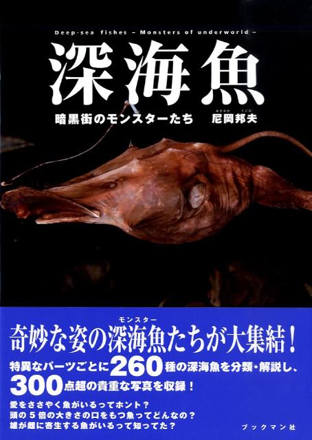 深海魚 暗黒街のモンスターたち 尼岡邦夫