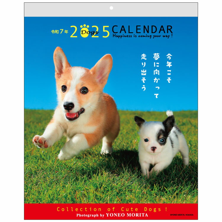 2025年 森田米雄・メッセージカレンダーDOG