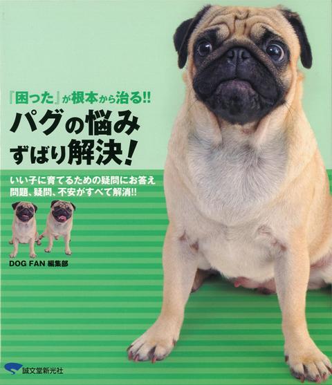 【バーゲン本】パグの悩みずばり解決！